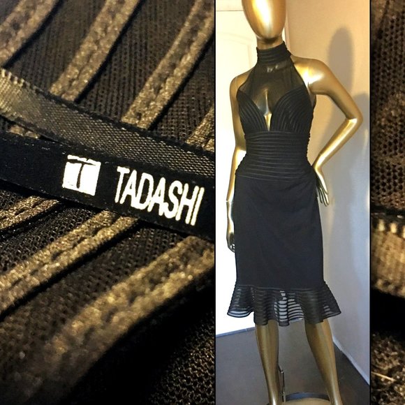 TADASHI Flirty Sheer Mesh Illusion Tone-on-Tone Cocktail Dress 🍸 - Picture 1 of 15